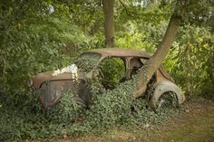 an old car is overgrown with vines and flowers