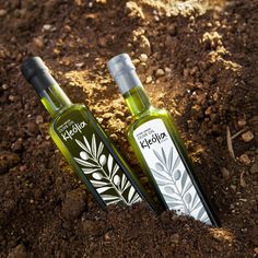 two bottles of olive oil sitting in the dirt