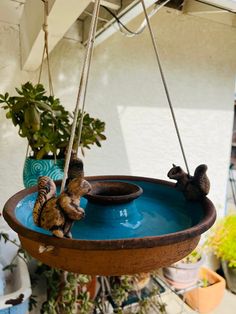 two cats playing in a birdbath hanging from a roof above some potted plants