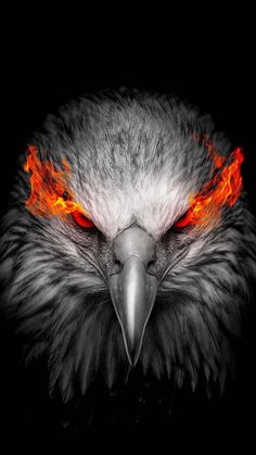 an eagle's head with red and orange flames on its face, in the dark