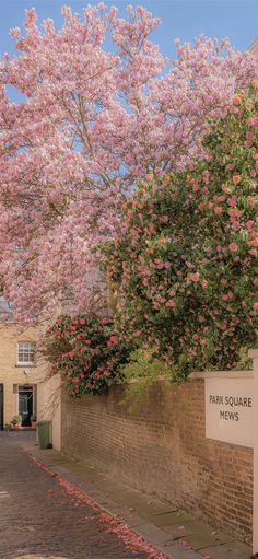 pink flowers are blooming on the trees in front of a brick wall and sign