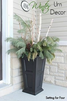 a potted plant sitting on the side of a house next to a number sign