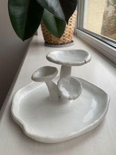 a white plate sitting on top of a window sill next to a potted plant