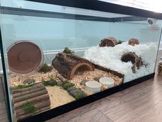 a display case filled with different types of animals in it's habitat, including logs and grass