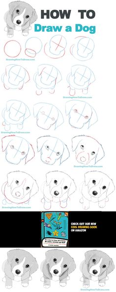 how to draw a dog step by step instructions