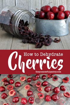 cherries in a metal bowl with the title how to dehydraate cherries