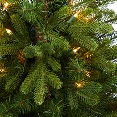 a close up view of the branches of a christmas tree with bright lights on it