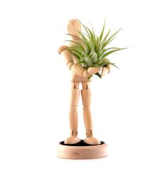 a wooden figure holding a plant in it's hands