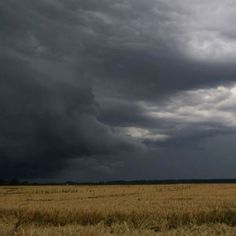 an open field with storm clouds in the sky