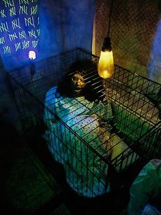 a cage that has some food in it and a light hanging from the ceiling next to it