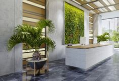 an office with a large plant on the wall