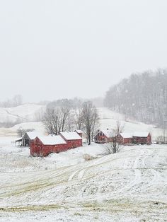 a snowy landscape with red barns and trees in the foreground, snow falling on the ground