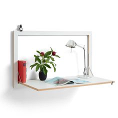 a book shelf with a lamp and a potted plant on it