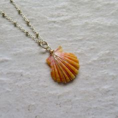 "Hawaiian Sunrise Shell Necklace~ This necklace has a beautiful orange and pink wire wrapped Hawaiian sunrise shell on 14k gold fill satellite chain. Sunrise shells are only found in Hawaii, a true gem to the islands and collectors. Shell approx. .75\" Chain is adjustable 17-18\" Model wearing similar necklace Checkout our sunrise shell jewelry~ https://www.etsy.com/shop/HanaMauiCreations?ref=seller-platform-mcnav&search_query=sunrise+shell+jewelry SHOP~ http://www.etsy.com/shop/HanaMauiCrea Beach Wire Wrapped Shell, Ocean-inspired Wire Wrapped Shell, Wire Wrapped Shell Necklace Gift, Wire Wrapped Shell Gift, Wire Wrapped Shell Necklace For Beach, Wire Wrapped Shell Necklaces In Shell Shape, Wire Wrapped Shell Necklaces, Gold Wire Wrapped Shell Necklace, Handmade Yellow Gold Necklaces For The Beach