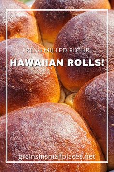 fresh milled flour hawaiian rolls with text overlay