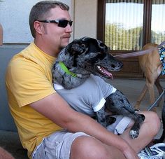 a man sitting on the ground with two dogs in front of him and wearing sunglasses