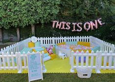 this is an image of a birthday party in the yard with toys and decorations on it