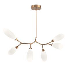 a brass chandelier with five white glass petals