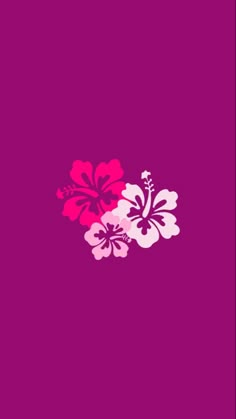 two pink and white flowers are on a purple background with the words,'hiloa