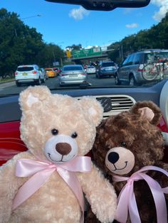 two teddy bears sitting in the front seat of a car