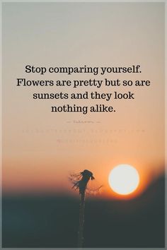 Quotes Stop comparing yourself. Flowers are pretty but so are sunsets and they look nothing alike. Dont Compare Yourself To Others Quotes, Dont Compare Quotes, Single Women Quotes, Comparison Quotes, Looks Quotes, Ex Quotes, Compare Quotes, Comparing Yourself, Stop Comparing