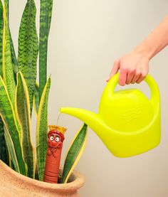 a potted plant with a yellow watering can next to it