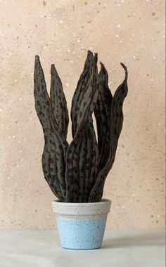 a small potted plant sitting on top of a white table next to a wall