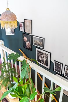 some plants and pictures are on the wall next to a stair case in a house