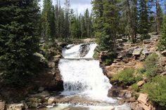 a small waterfall in the middle of a forest with rocks and pine trees around it