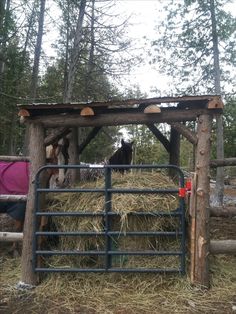 two horses are eating hay in an enclosure with wood posts and logs on the ground