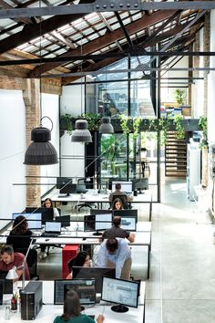 people working at computers in an office with lots of plants on the walls and ceiling