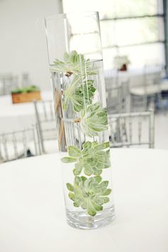 a clear vase filled with plants on top of a white table covered in chairs and tables