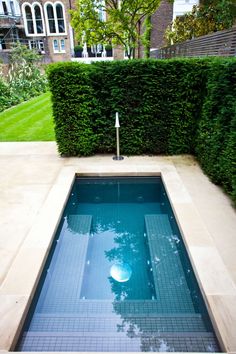 an empty swimming pool in the middle of a garden with hedges on either side and a lawn area behind it