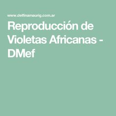 the words reproduccion de voletos africanas - dmf