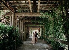 two people are standing in the middle of an archway covered with vines and ivys