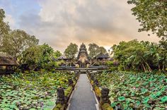 a walkway leading to a temple surrounded by water lilies and greenery in the foreground