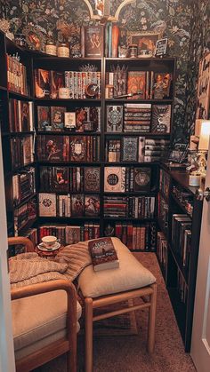 there is a room with many books on the shelves and two chairs in front of it