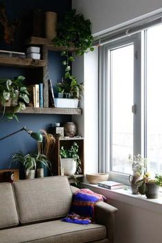 a couch sitting in front of a window next to a shelf filled with potted plants