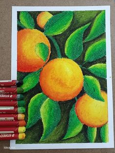 colored pencils are next to a drawing of oranges on a tree with green leaves