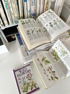 Herbarium Aesthetic, Botanist Aesthetic, Botany Aesthetic, Dream Journal, Oceanography, Journal Aesthetic, Nature Journal, Mad Scientist, Journal Design