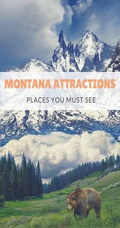 Must See In Montana Glacier National Park Trip, Visit Montana, National Parks America, Cheap Places To Travel