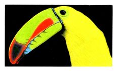 a drawing of a toucan on a black background