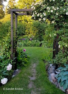 a garden with white flowers and greenery on the sides, along with a path leading to an arbor