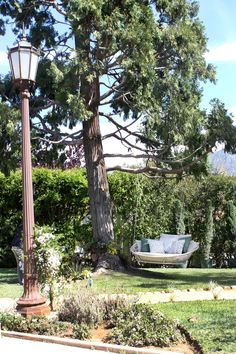 a white swing chair sitting under a tree next to a lamp post in a park