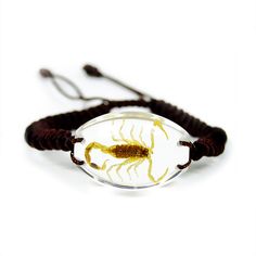 Scorpion Bracelet 1.3x0.9x0.5 in Adjustable Clear Bangle Jewelry, Adjustable Clear Bangle Bracelet, Adjustable Clear Bangle Bracelets, Casual Brown Jewelry As Gift, Adjustable Oval Spiritual Bracelets, Clear Bangle Bracelet As A Gift, Clear Bangle Bracelet For Gifts, Adjustable Rectangular Jewelry For Gifts, Adjustable Rectangular Jewelry Gift