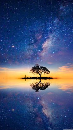 a lone tree sitting on top of a lake under a night sky filled with stars