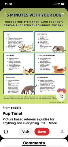 an info sheet with different types of dogs