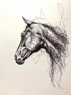 a black and white drawing of a horse's head with hair blowing in the wind