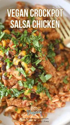 a close up of a plate of food with text overlay that reads vegan crockpot salsa chicken