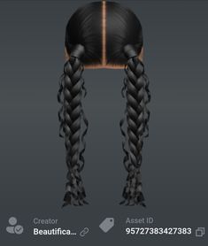 two braids are shown in this screenshot